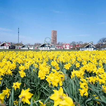 Strandpark H100 Sierksdorf